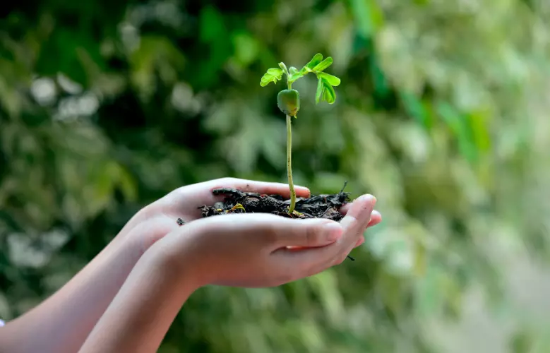Respecter l'environnement
