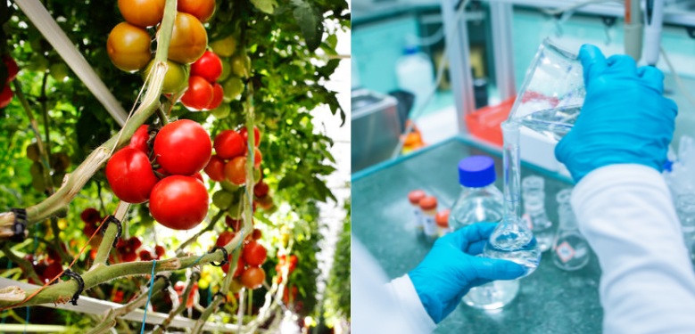 Industries pharmaceutique et agroalimentaire